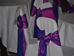 Cadbury Purple Taffeta